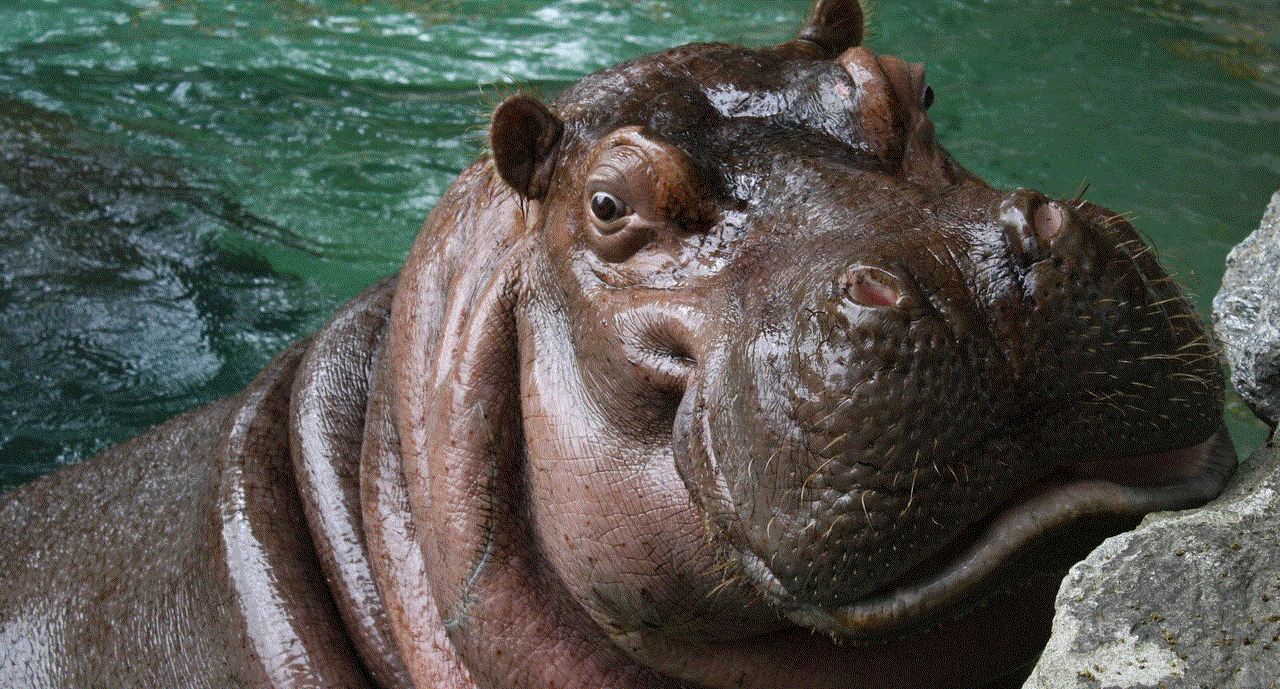 Philly Hippo