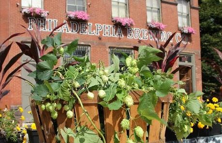 Philadelphia Brewing Co. Celebrates Return Of Harvest From The Hood With Honkytonk-style Festiva
