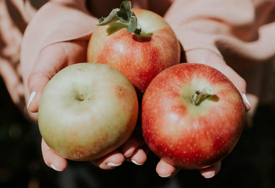Pennsylvania is Home to the Best Apple Picking Spots in the Country!