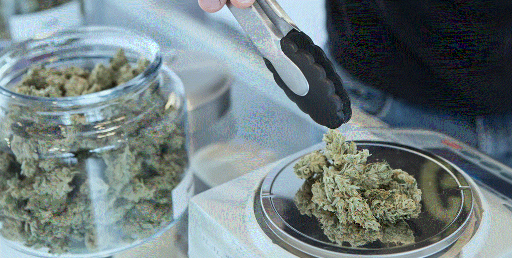 Legalizing Recreational Marijuana Wrong for New Jersey 